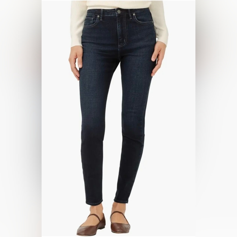 Silver Jeans Isbister Skinny Leg High Rise Denim Blue Women's Size 28x29